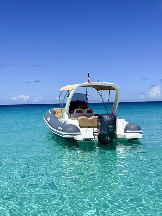 PALOMA : vue arrière, moteur Yamaha 250 ch et plage de bain