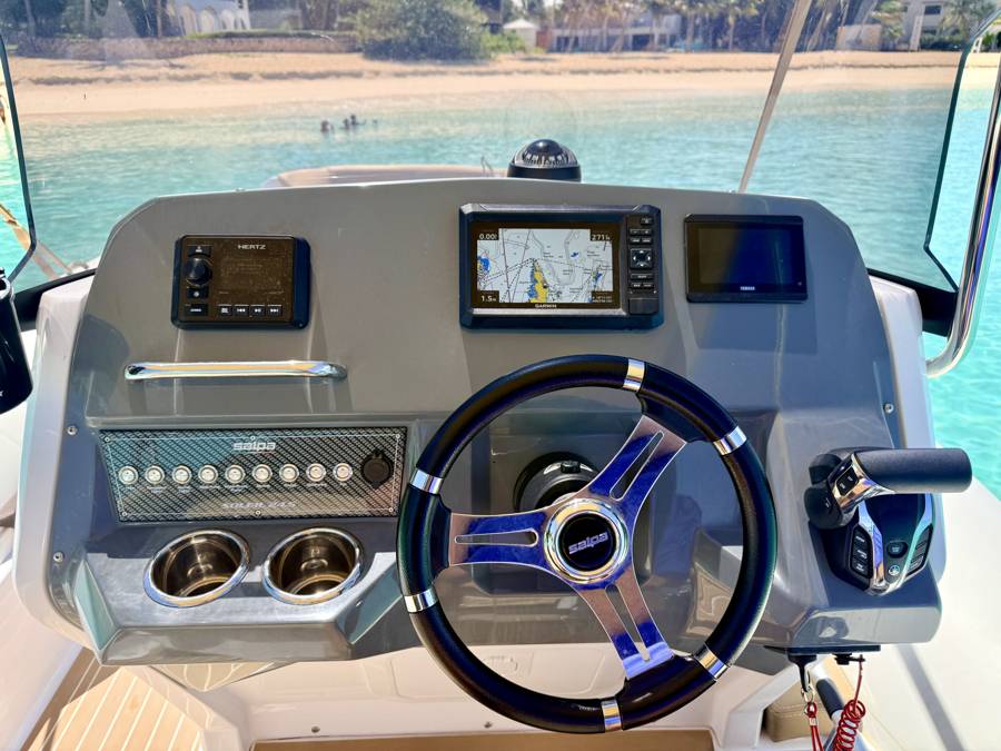 ONE LIFE 29 : poste de pilotage, GPS Garmin et afficheur Yamaha